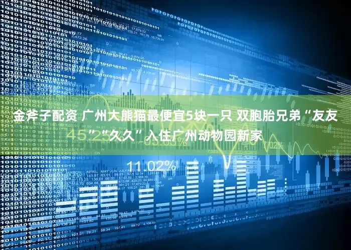 金斧子配资 广州大熊猫最便宜5块一只 双胞胎兄弟“友友”“久久”入住广州动物园新家